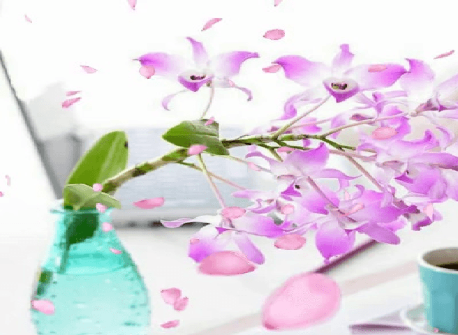 بارش برف در مدرسه
