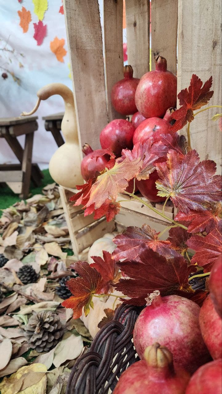پیش دبستانی ایلیا